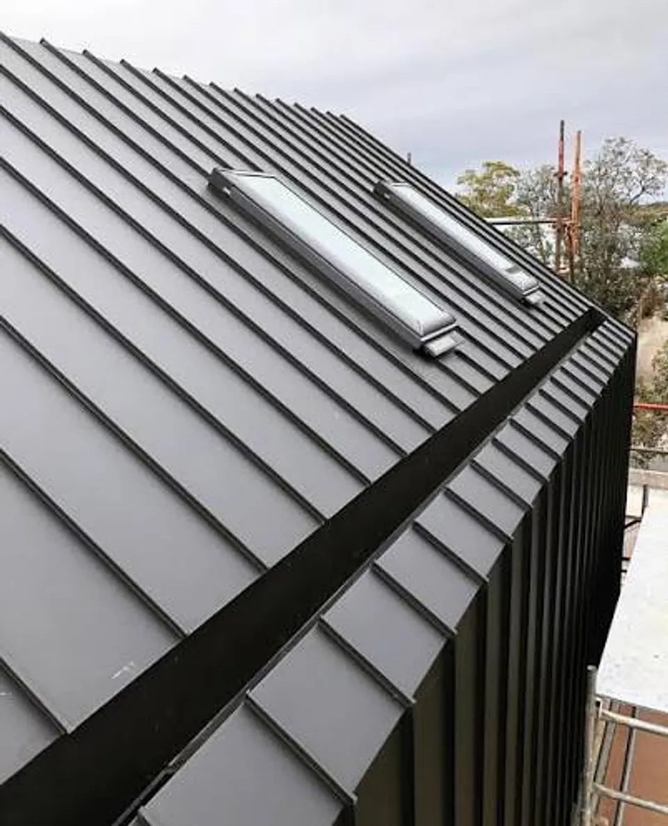 Matte black standing-seam metal roof and wall cladding with skylights